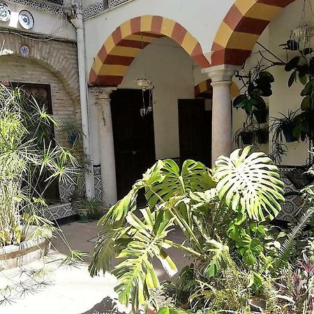 Apartamentos Abderraman I Кордова Экстерьер фото